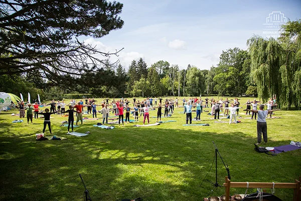 joga w parku