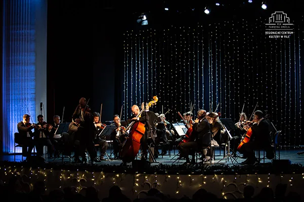 orkiestra kameralna polskiego radia amadeus