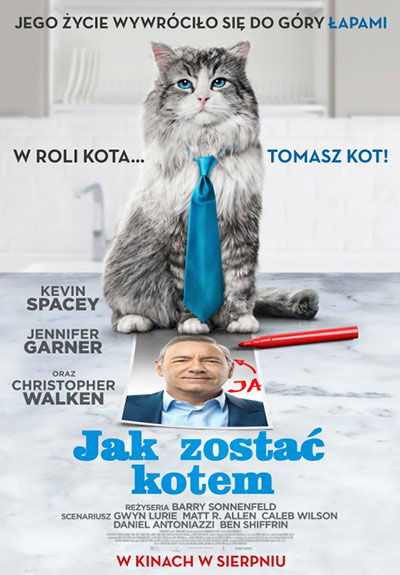 jak zostac kotem