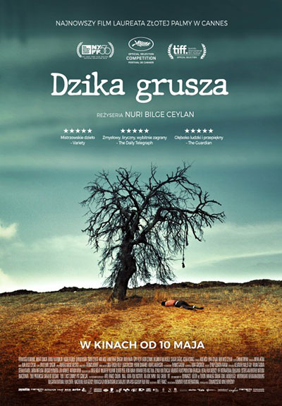 dzika grusza