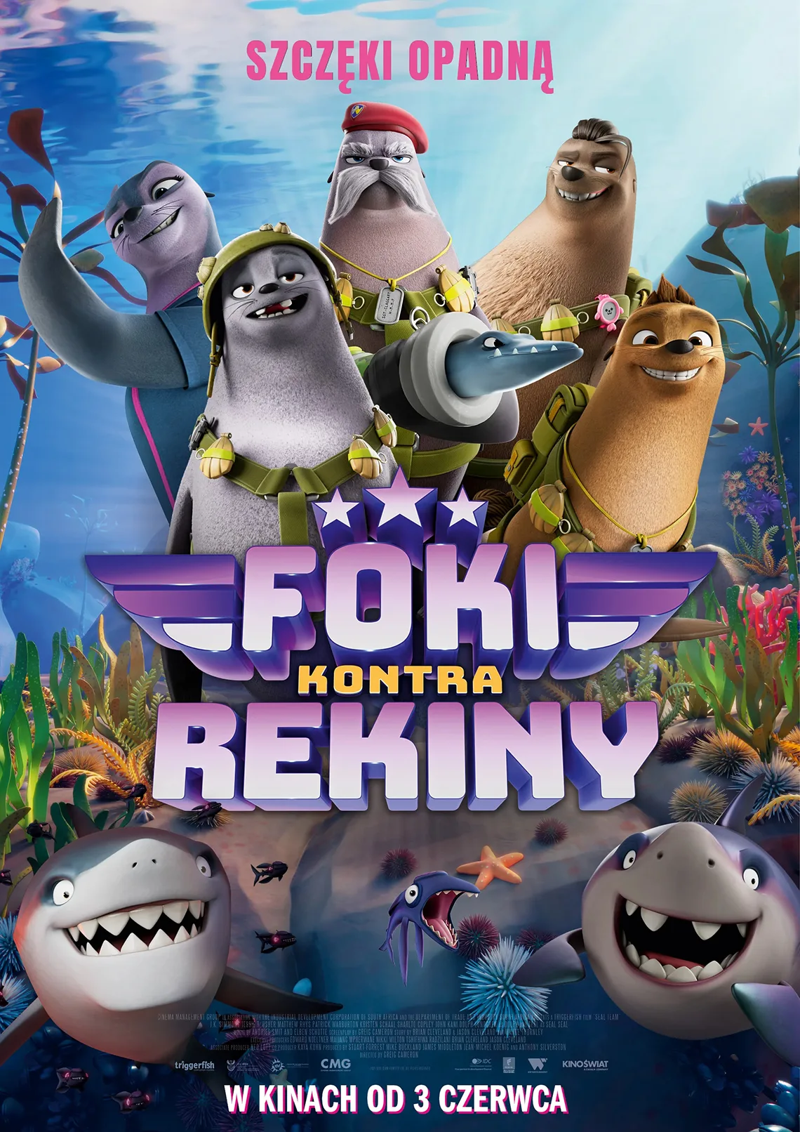 foki kontra rekiny