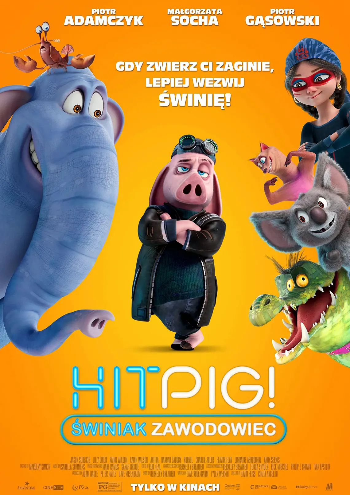 hitpig swiniak zawodowiec